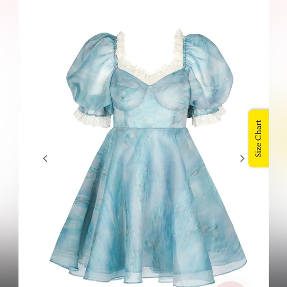 Selkie 2023 Monet Giverny Waterlilies Parliment Dress - Picture 9 of 10